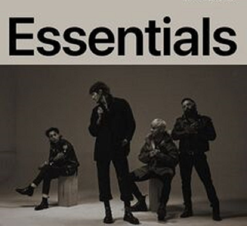 Boys Like Girls – Essentials