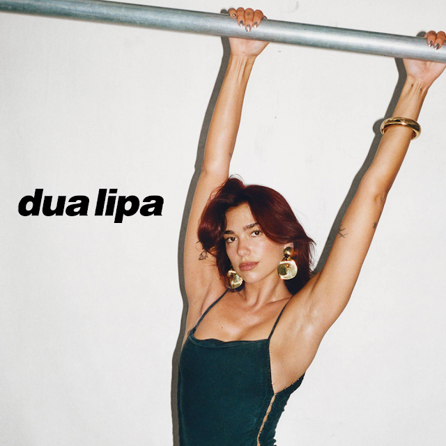 Dua Lipa - Mass Leak (UnreIeased) 2024