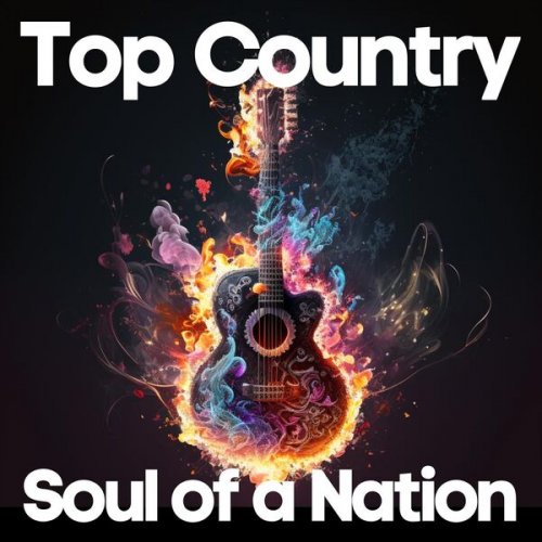 Various  - Top Country Soul of a Nation (2 Cd's)