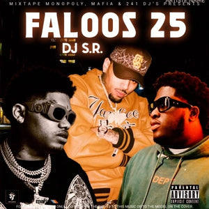 DJ_S.R. -  FaIoos 25