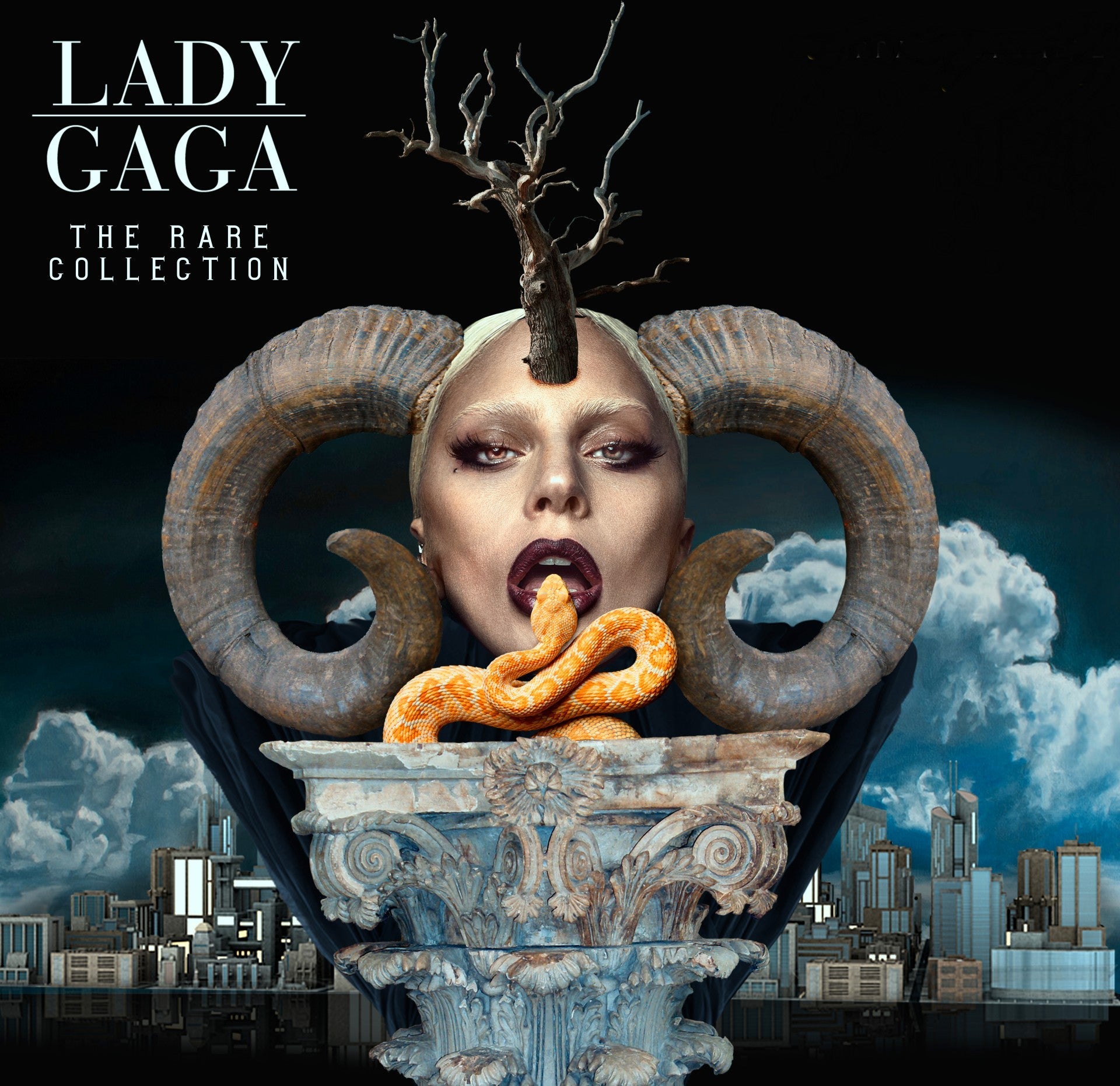 【激レア】ladygaga ポスター $_12.JPG?set_id=880000500F