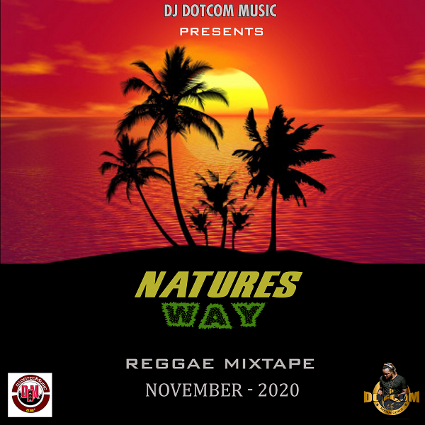 NATURES WAY REGGAE MIXTAPE (NOV 2020)