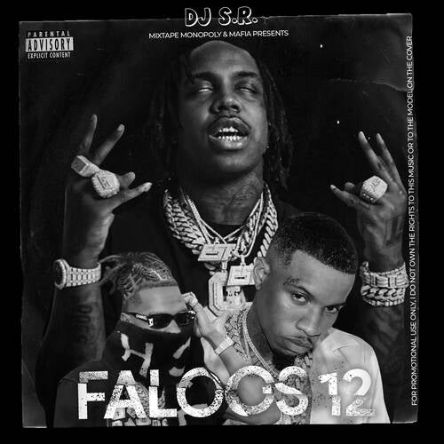 DJ_S.R. - Faloos 12