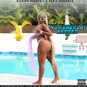 DJ_S.R. - No Foreplay Needed 7