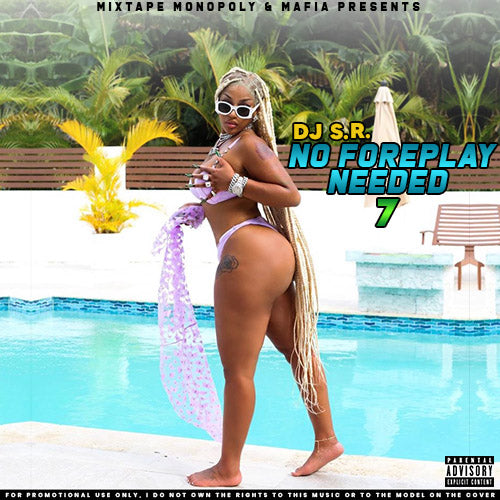 DJ_S.R. - No Foreplay Needed 7
