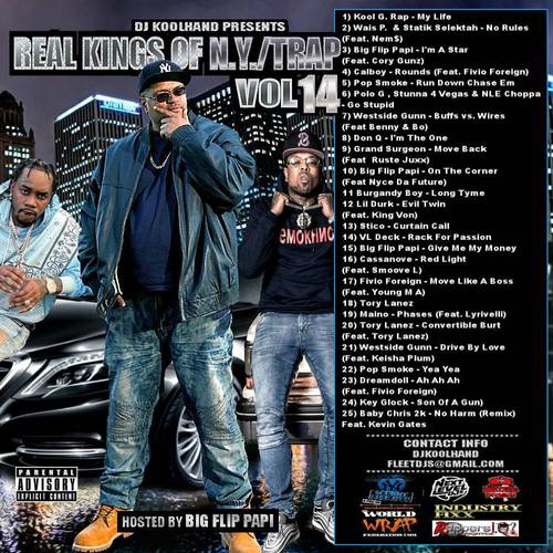 Real Kings Of N.Y. Vol. 14