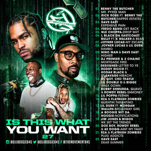 Is This What You Want 27